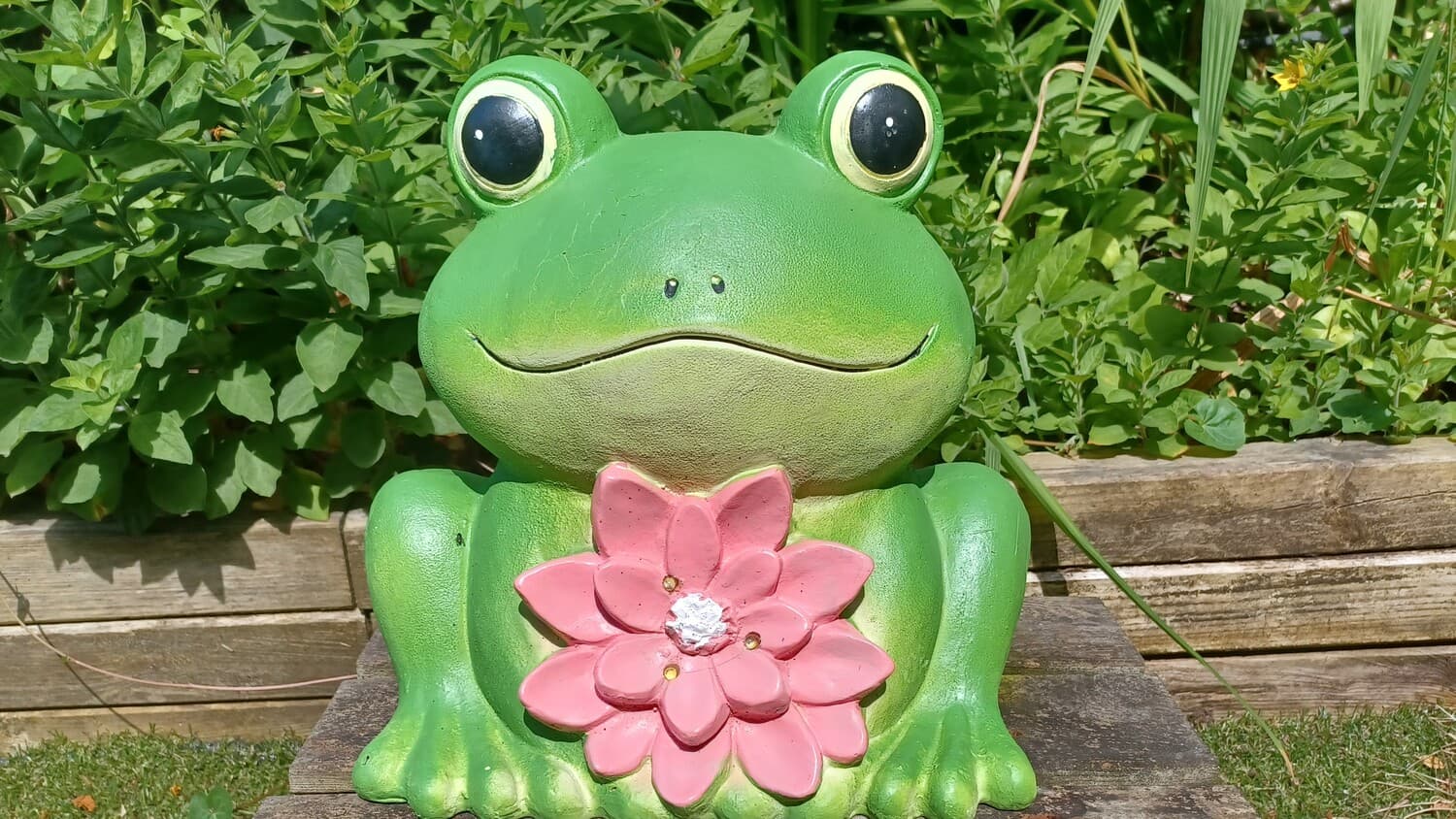 Grenouille zen à la fleur rose dans le jardin de Quiétude Massage à Brest.